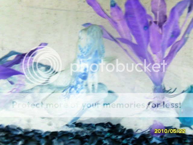 SDC14648.jpg