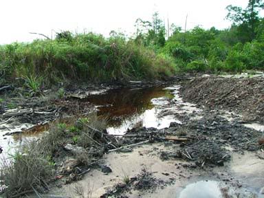 longkang-matang.jpg