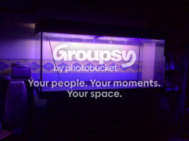 IMG00297.jpg
