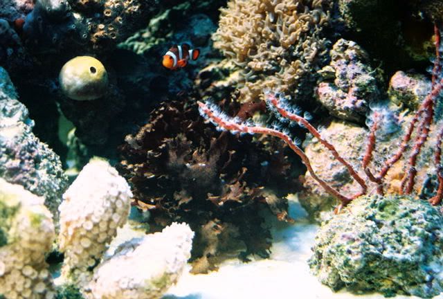 FL000013.jpg