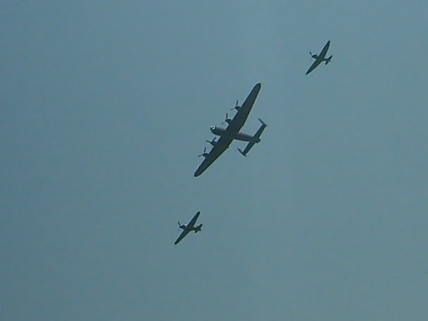 S5006201.jpg