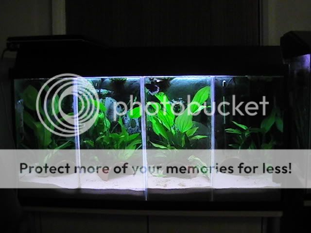 PIC_0509.jpg