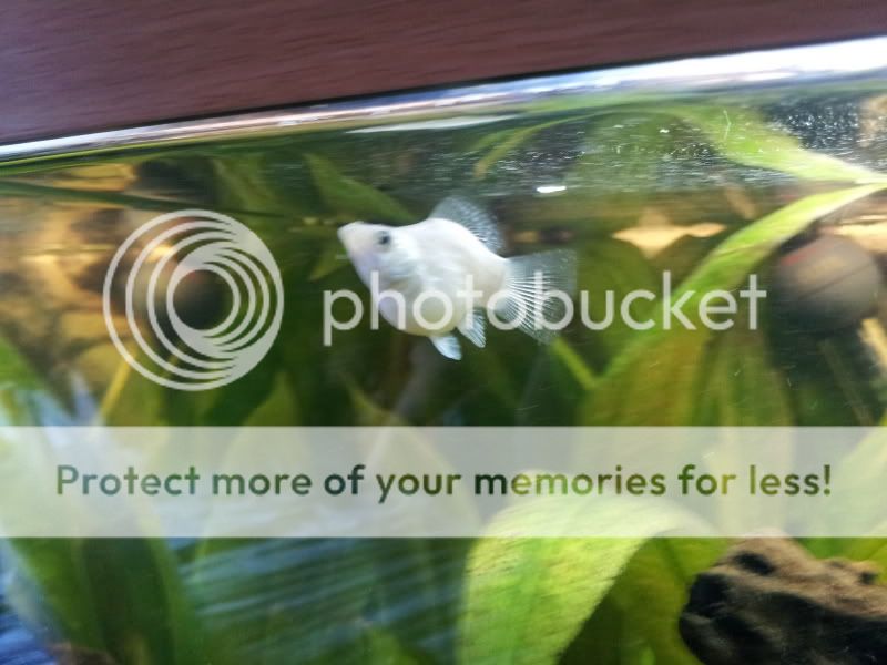 2012-02-23142248.jpg