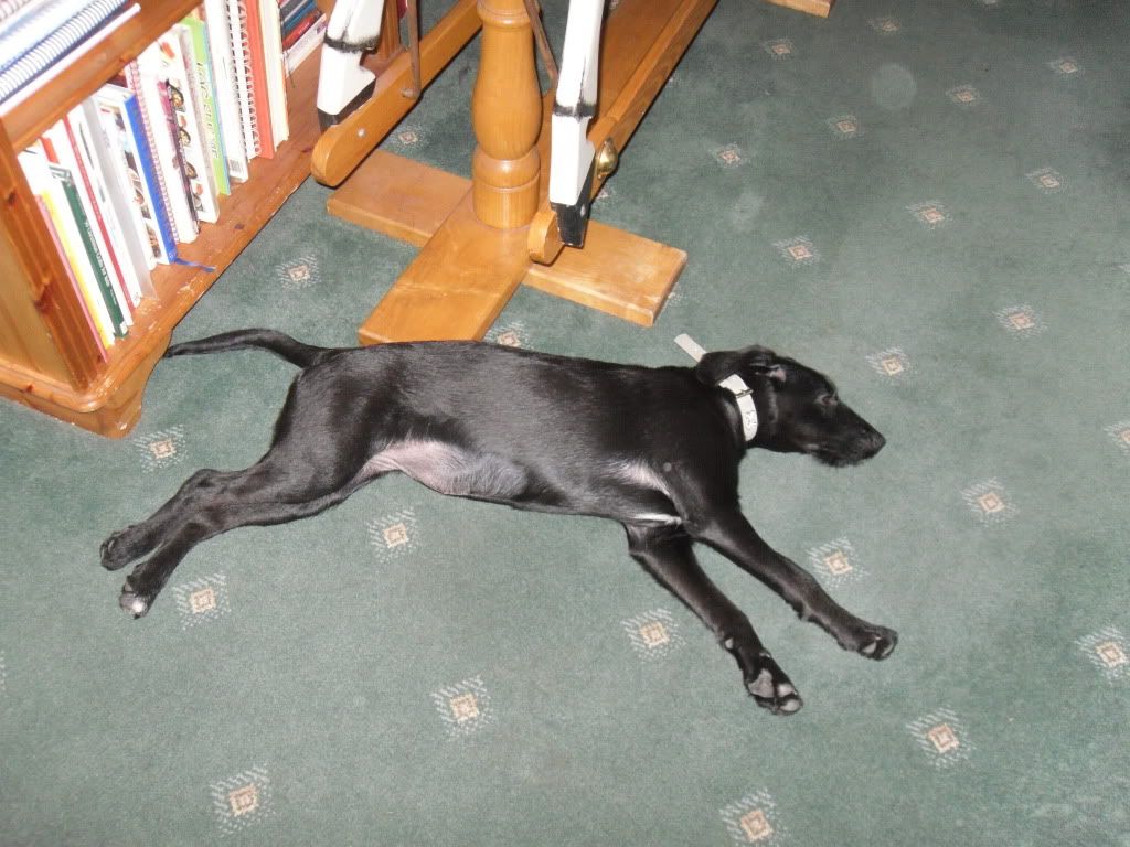 SAM_2076.jpg