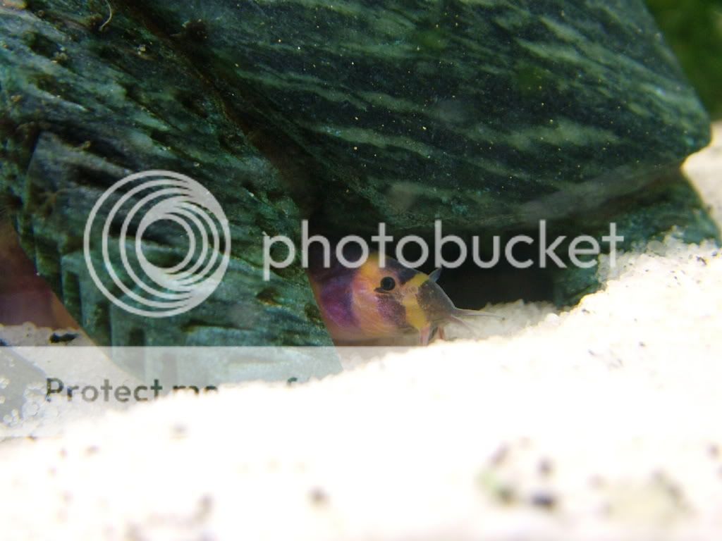 DSCF3225.jpg