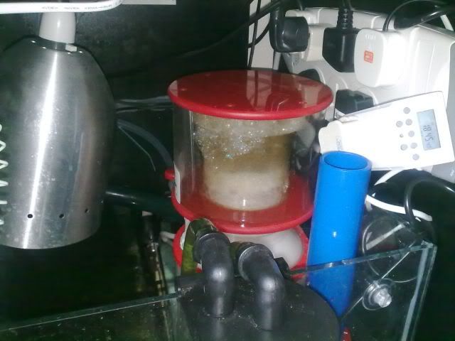 29062010180.jpg
