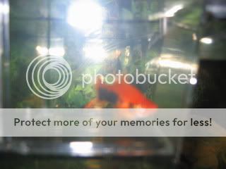 IMG_0012.jpg