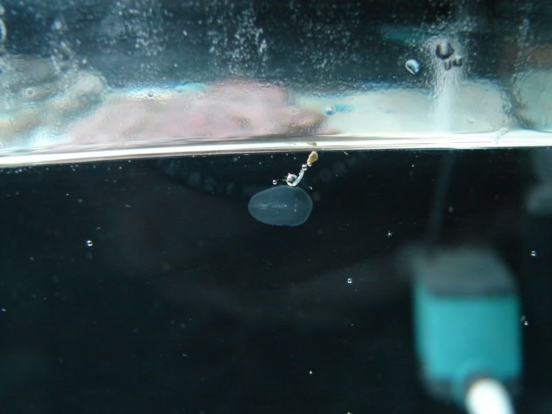 DSC02433.jpg