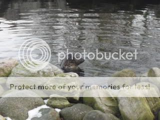 SDC11760.jpg