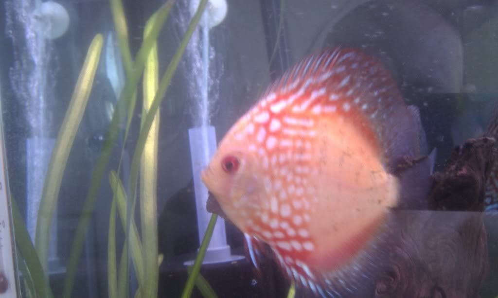 IMAG0356.jpg