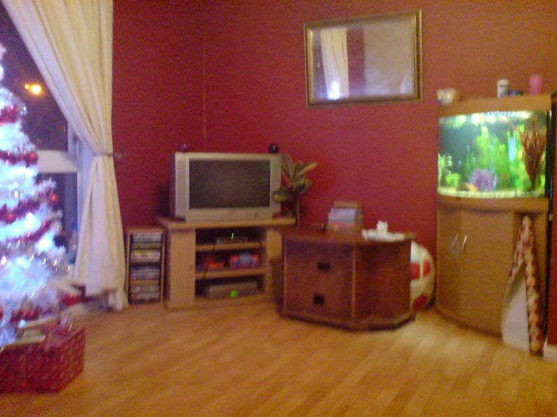 DSC01328.jpg