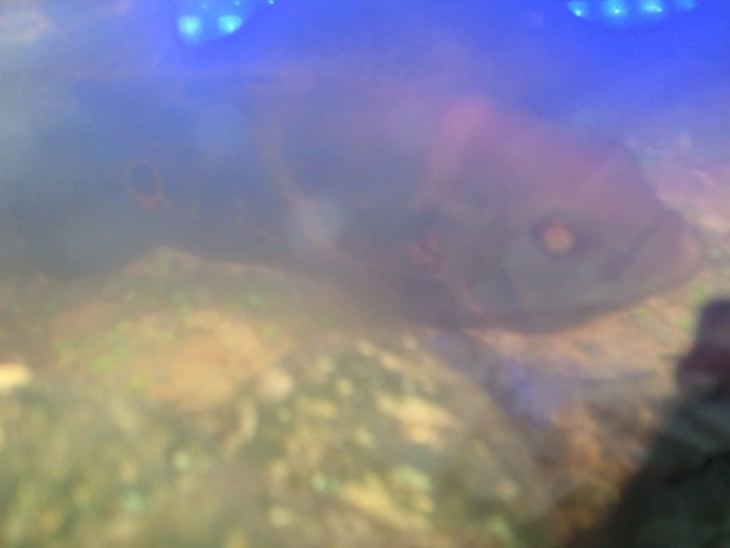 WP_000770.jpg