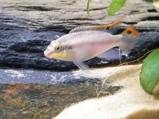 DSCF3920.jpg