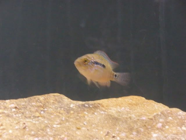 P4120110.jpg