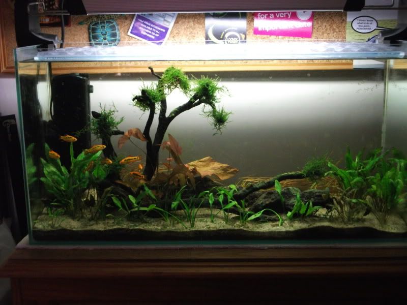 tank2008.jpg