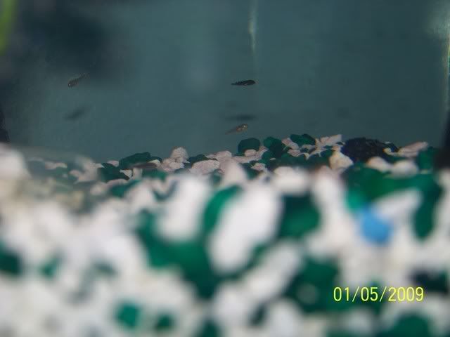 100_1249.jpg