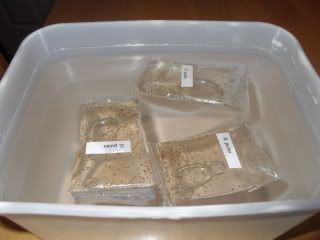 SDC11470.jpg