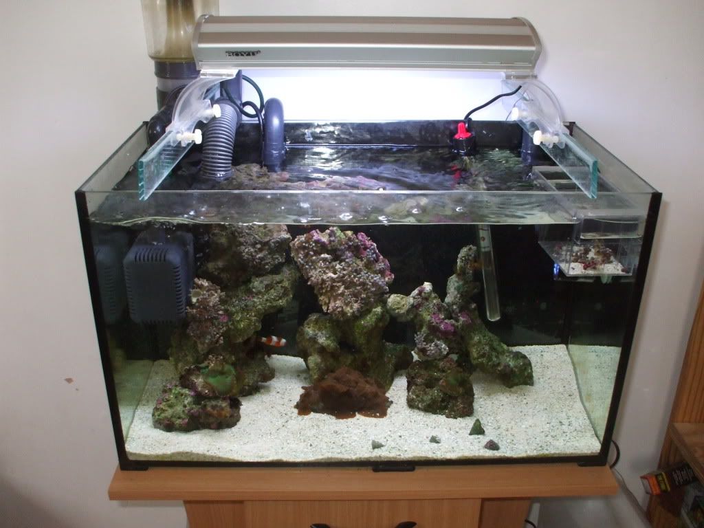 DSCF9067.jpg