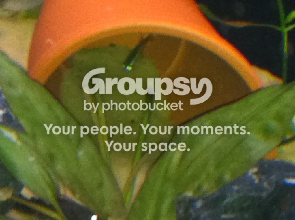 photo-9.jpg