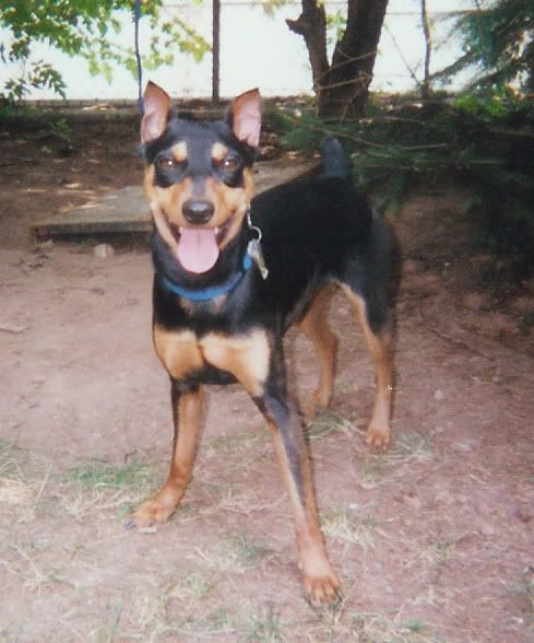 scan0001.jpg