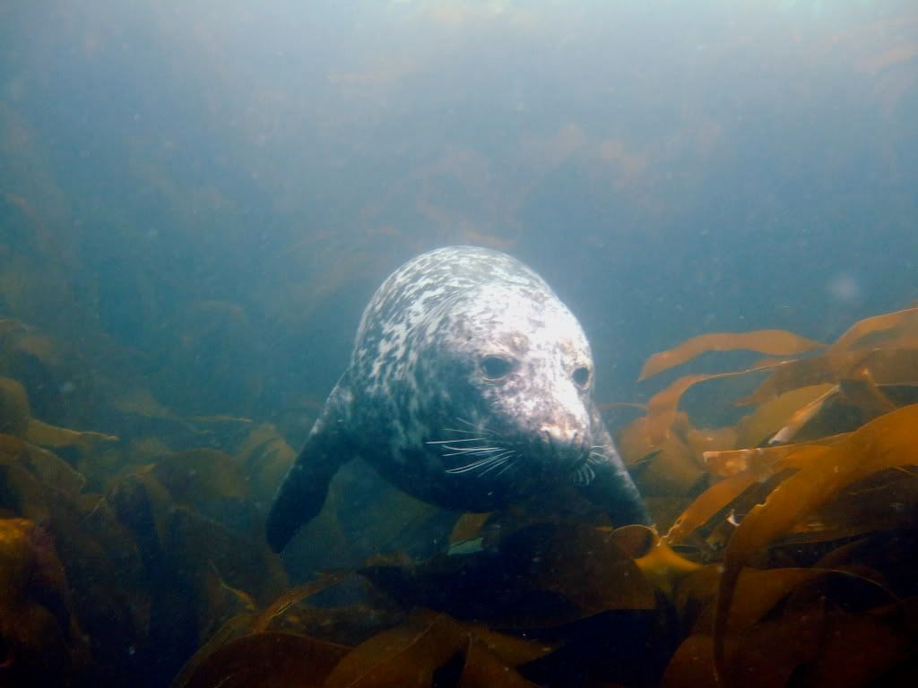 DSCF6114.jpg