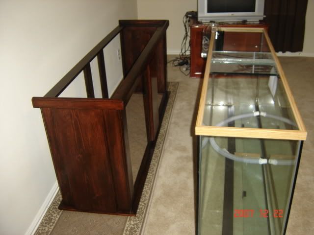 DSC05313.jpg