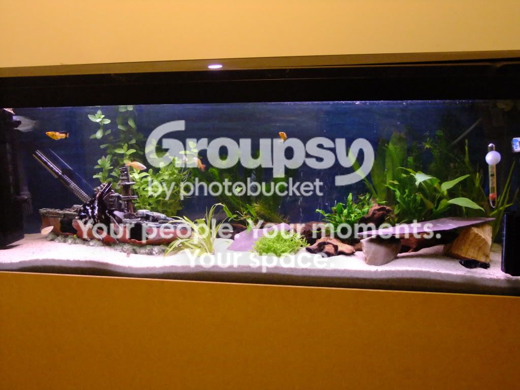 DSCF0774.jpg