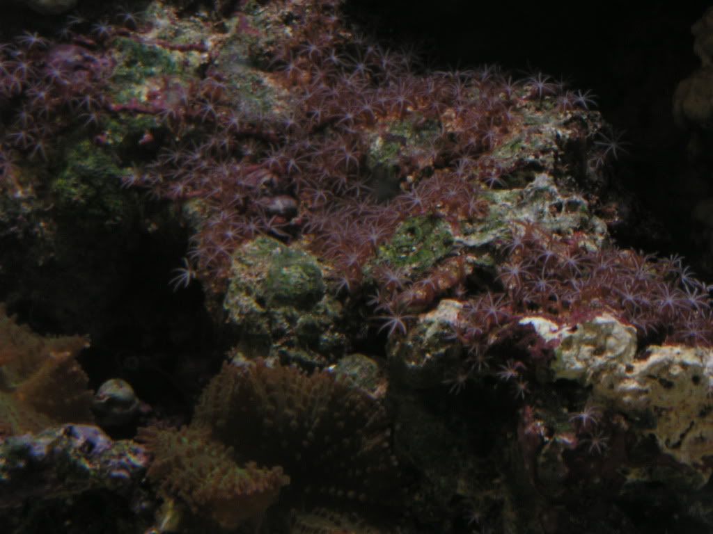 PICT1089.jpg