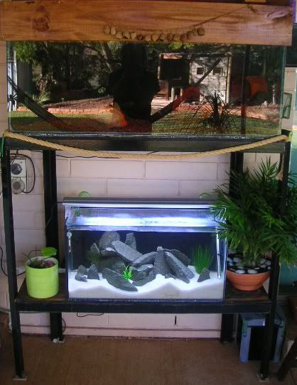 OutdoorTanks.jpg