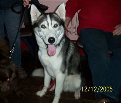121205kobi.jpg