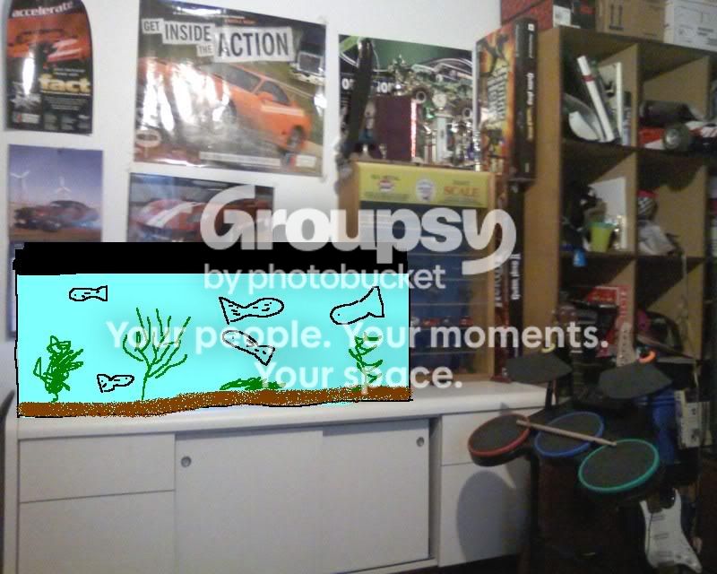 fishtnak.jpg