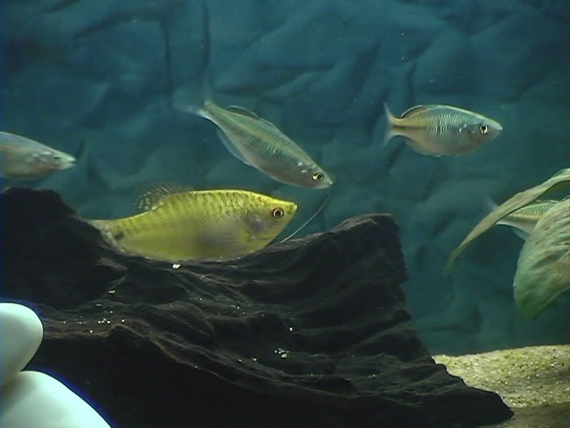 DVC01789.jpg