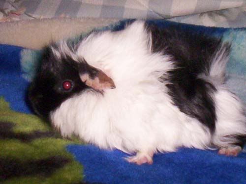 000_0495.jpg