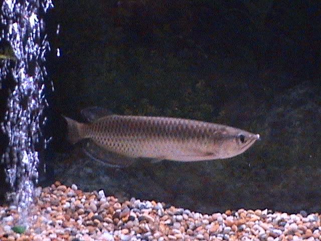 DSC00134.jpg