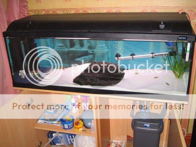 Picture039.jpg