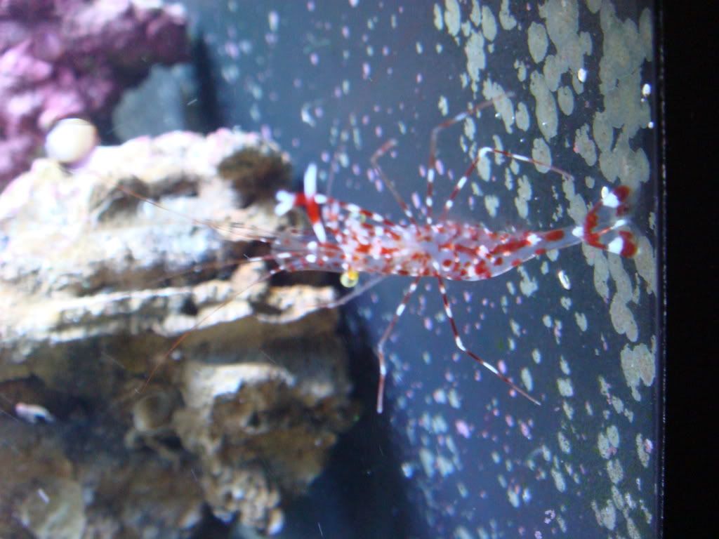 DSC01973.jpg