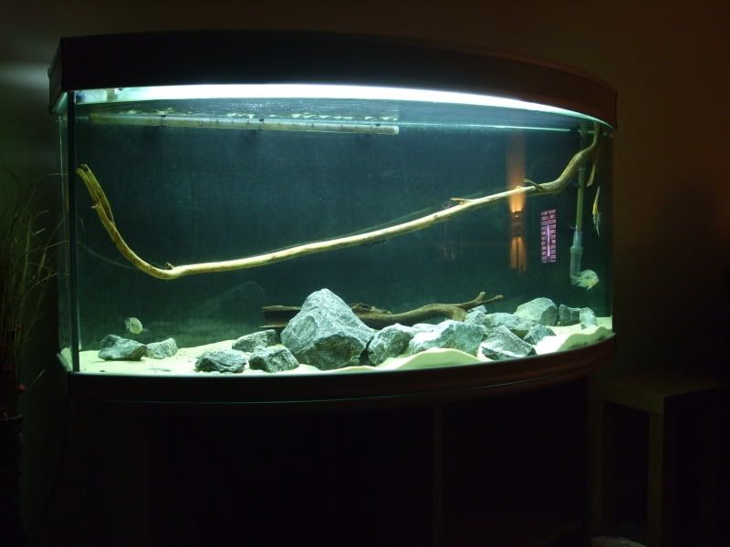 DSCF2213.jpg