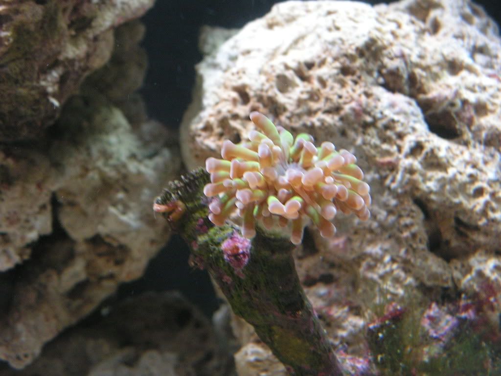 PICT1078.jpg
