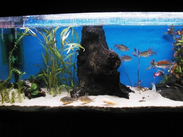 Picture004.jpg