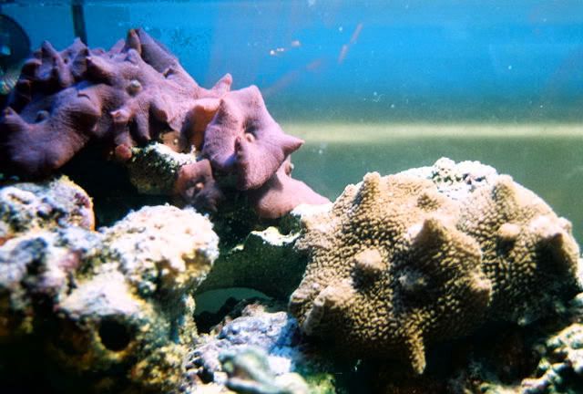 FL000007.jpg