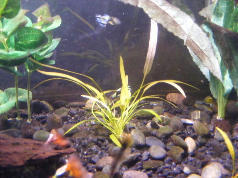 2007_12030014.jpg