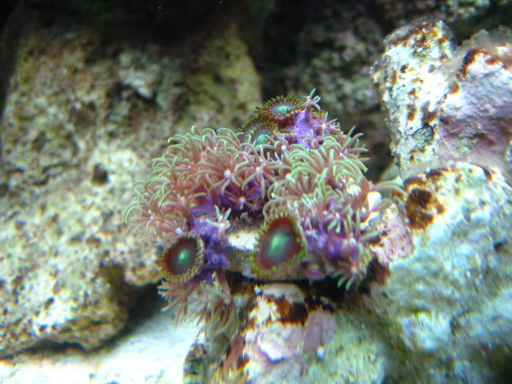 IMG_2840.jpg