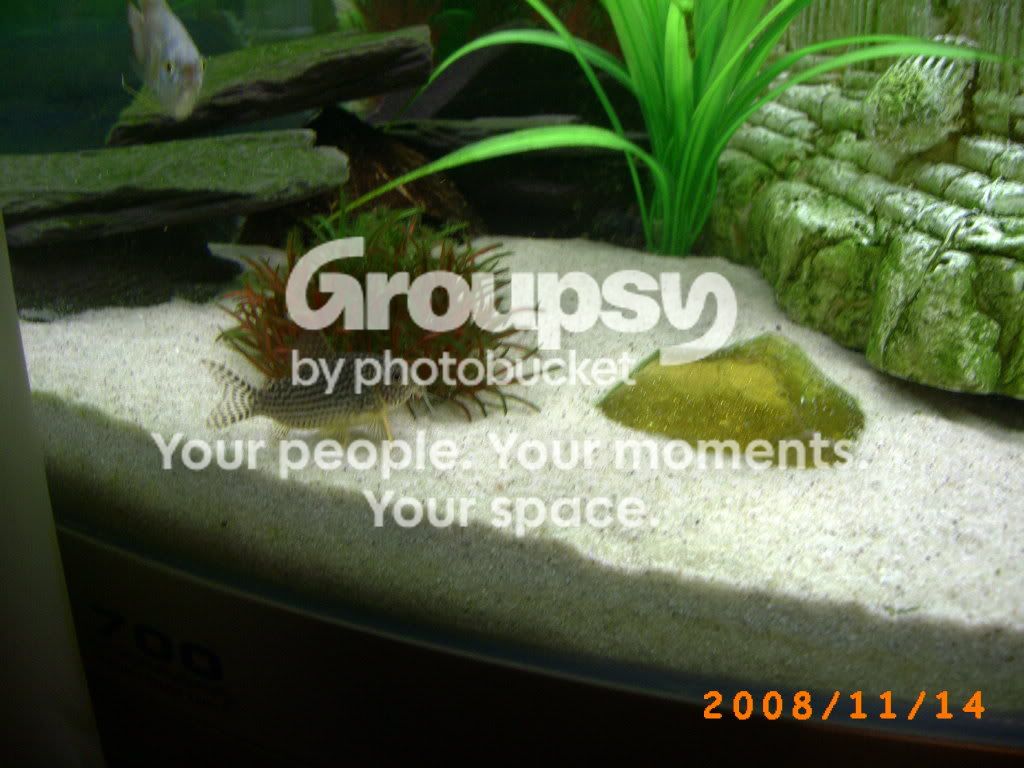 PICT0057-1.jpg