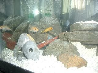 Picture069.jpg