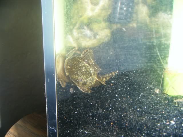 DSCF7064.jpg