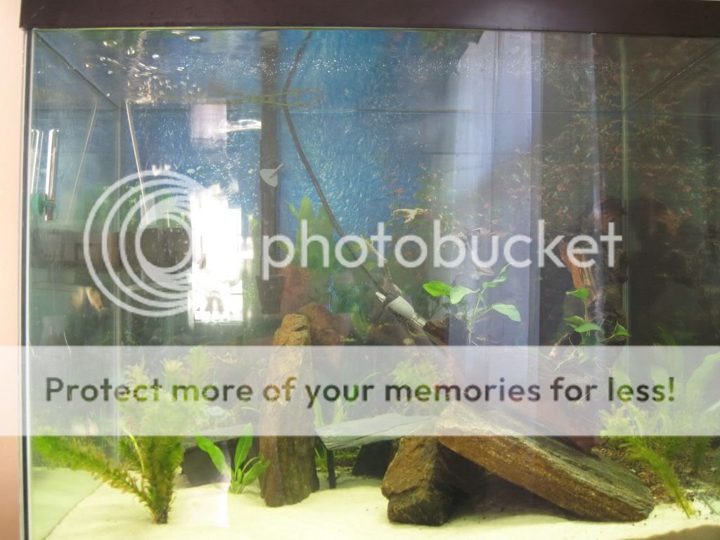 tankwithfish.jpg
