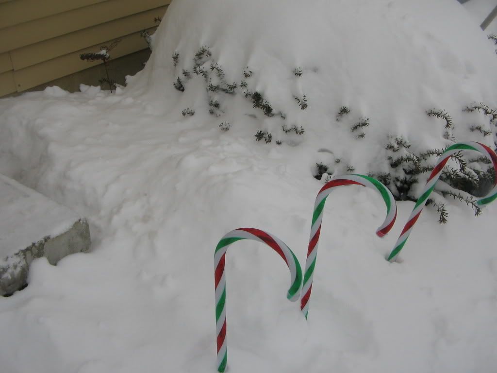 snow016.jpg