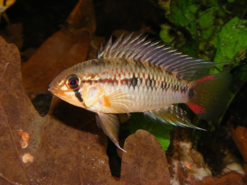 DSCF3221.jpg