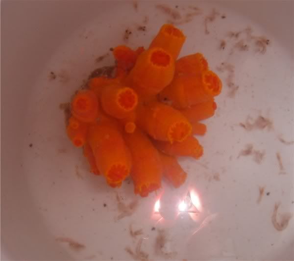 DSCF2109.jpg