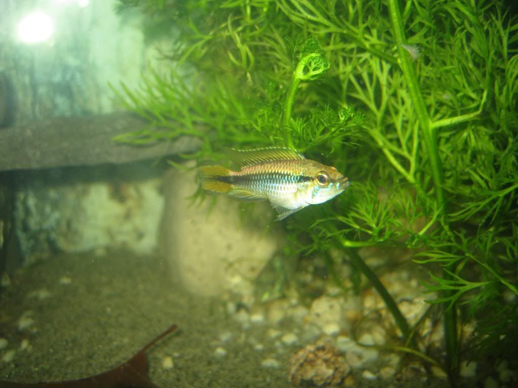 IMG_5489.jpg